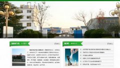 新沂市*升化工有限公司绿色系网站建设给你设计灵感