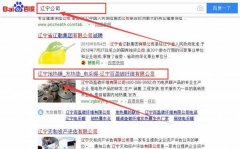 辽宁百*碳纤维有限公司网站建设案例欣赏