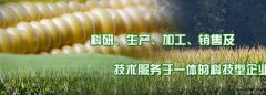 吉林省天*固种业有限责任公司网站建设可视化建站作品欣赏