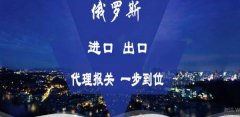 黑河市银*经贸有限责任公司网站建设创意网站效果展示