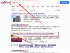 江西天*香料有限公司网站建设可视化建站作品欣赏