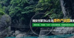 雅安市蒙*山生态康养产业园发展有限公司网站建设公司有创意的主题设计